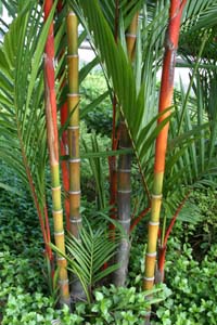 IMG_1924_2