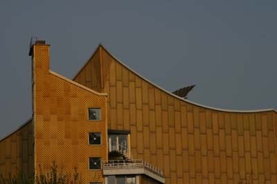 IMG_1037